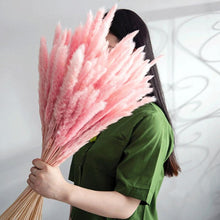 Load image into Gallery viewer, Real Dried Grass Reed Flower Natural Dry Small Bulrush Bouquet Pampas Reeds Home Decoration Wedding Decor Pompass Grass Branches for Vase Artificial Grass Room Décor Wedding Decorations