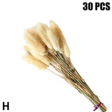 Load image into Gallery viewer, Real Dried Grass Reed Flower Natural Dry Small Bulrush Bouquet Pampas Reeds Home Decoration Wedding Decor Pompass Grass Branches for Vase Artificial Grass Room Décor Wedding Decorations
