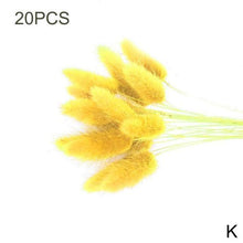 Load image into Gallery viewer, Real Dried Grass Reed Flower Natural Dry Small Bulrush Bouquet Pampas Reeds Home Decoration Wedding Decor Pompass Grass Branches for Vase Artificial Grass Room Décor Wedding Decorations