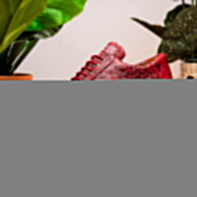 Load image into Gallery viewer, Scanno Antique Red