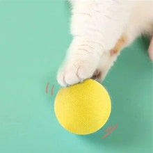 Load image into Gallery viewer, Smart Cat Toys Ball Catnip Cat Training Toy Pet Playing Ball Pet Products Toy for Cats Interactive Chirping Balls Cat Kicker Toys Fun Catnip Toys for Cat Exercise