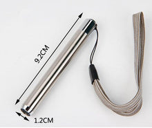 Load image into Gallery viewer, Stainless Steel Mini Pocket UV Black Light Flashlight Led Lamp Portable Flashlight Ultraviolet Pen Lights For Leak Pet Urine Bed Bug Dry Stain & Dye Detector Marker Checker Detection