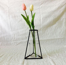 Load image into Gallery viewer, Style Retro Line Flowers Vase Frame Nordic Style Wall Hanging Metal Holder Modern Solid Home Decor Modern Rose Frame Clear Vase Planter Flower Holder Decorations for Wedding Living Room, Office Party