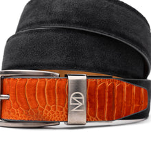 Load image into Gallery viewer, Hugo Belt Orange / Black