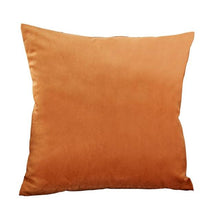 Load image into Gallery viewer, Super Soft Cushion Cover Velvet Pillow Cover Living Room Velvet Decorative Throw Pillow Covers Soft Solid Square Cushion Case For Couch Home Decorative Pillows