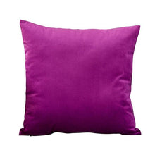 Load image into Gallery viewer, Super Soft Cushion Cover Velvet Pillow Cover Living Room Velvet Decorative Throw Pillow Covers Soft Solid Square Cushion Case For Couch Home Decorative Pillows