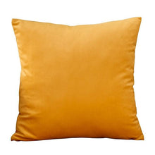 Load image into Gallery viewer, Super Soft Cushion Cover Velvet Pillow Cover Living Room Velvet Decorative Throw Pillow Covers Soft Solid Square Cushion Case For Couch Home Decorative Pillows
