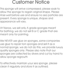 Load image into Gallery viewer, Naroa Shower Sponge — Natural Exfoliation for Healthy, Radiant Skin

