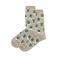 Load image into Gallery viewer, Potted Succulents
