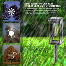 Load image into Gallery viewer, ☀️ Kidsjoy Solar Pathway Lights – 6 Pack
