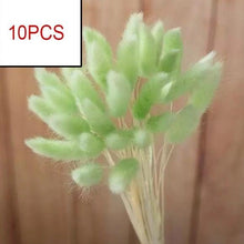 Load image into Gallery viewer, 10PCS Bulrush Natural Dried Flowers Artificial Pampas Grass Decor Phragmites Fake Flower Wedding Home Decoration Floor Vase Filler for Living Room Kitchen Decor

