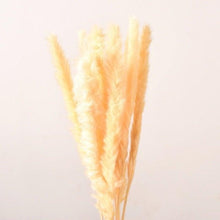 Load image into Gallery viewer, 10PCS Bulrush Natural Dried Flowers Artificial Pampas Grass Decor Phragmites Fake Flower Wedding Home Decoration Floor Vase Filler for Living Room Kitchen Decor

