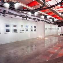 Load image into Gallery viewer, 60W Super Bright Deformable LED Light for Gym Warehouse Garage 6000 Lumens
