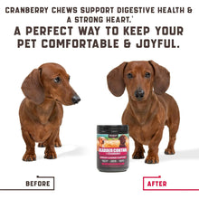 Load image into Gallery viewer, 180 Cranberry UT Health Dog Chews
