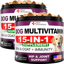 Load image into Gallery viewer, 2-Pack Glucosamine &amp; Multivitamins Dog Chews, 240 Count
