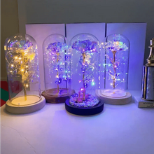 Load image into Gallery viewer, 20 Led Lights Crystal Galaxy Rose in The Glass Dome Gift for Girlfriend - Beauty and The Beast Style Galaxy Rose Flower Gift

