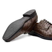 Load image into Gallery viewer, 23-538-BRN ANDREA Ostrich Quill Lace Up, Brown
