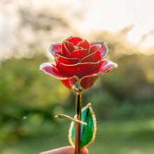 Load image into Gallery viewer, 24K Gold Plated Rose Gift
