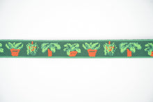 Load image into Gallery viewer, Houseplants
