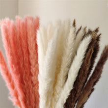 Load image into Gallery viewer, 30Pcs Dried Bulrush Flowers Bouquet Home Wedding Decoration Table Flores Preservadas Pampas Grass Natural Reed Decor for Room
