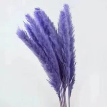 Load image into Gallery viewer, 30Pcs Dried Bulrush Flowers Bouquet Home Wedding Decoration Table Flores Preservadas Pampas Grass Natural Reed Decor for Room
