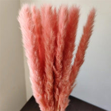 Load image into Gallery viewer, 30Pcs Dried Bulrush Flowers Bouquet Home Wedding Decoration Table Flores Preservadas Pampas Grass Natural Reed Decor for Room
