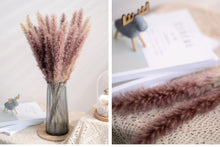 Load image into Gallery viewer, 30pcs Natural Dried Pampas Grass Bouquet Pampas Grass Reeds Flowers Bulrush Bouquets Durable For for Vase Artificial Grass Room Décor Wedding Decorations
