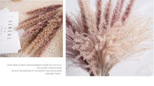 Load image into Gallery viewer, 30pcs Natural Dried Pampas Grass Bouquet Pampas Grass Reeds Flowers Bulrush Bouquets Durable For for Vase Artificial Grass Room Décor Wedding Decorations
