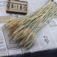 Load image into Gallery viewer, 30pcs Natural Dried Pampas Grass Bouquet Pampas Grass Reeds Flowers Bulrush Bouquets Durable For for Vase Artificial Grass Room Décor Wedding Decorations
