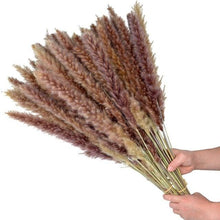 Load image into Gallery viewer, 30pcs Natural Dried Pampas Grass Bouquet Pampas Grass Reeds Flowers Bulrush Bouquets Durable For for Vase Artificial Grass Room Décor Wedding Decorations

