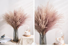 Load image into Gallery viewer, 30pcs Natural Dried Pampas Grass Bouquet Pampas Grass Reeds Flowers Bulrush Bouquets Durable For for Vase Artificial Grass Room Décor Wedding Decorations
