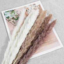 Load image into Gallery viewer, 30pcs Natural Dried Pampas Grass Bouquet Pampas Grass Reeds Flowers Bulrush Bouquets Durable For for Vase Artificial Grass Room Décor Wedding Decorations
