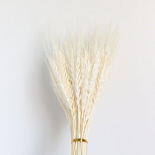 Load image into Gallery viewer, 30pcs Natural Dried Pampas Grass Bouquet Pampas Grass Reeds Flowers Bulrush Bouquets Durable For for Vase Artificial Grass Room Décor Wedding Decorations
