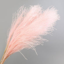 Load image into Gallery viewer, 30pcs Natural Dried Pampas Grass Bouquet Pampas Grass Reeds Flowers Bulrush Bouquets Durable For for Vase Artificial Grass Room Décor Wedding Decorations
