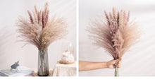 Load image into Gallery viewer, 30pcs Natural Dried Pampas Grass Bouquet Pampas Grass Reeds Flowers Bulrush Bouquets Durable For for Vase Artificial Grass Room Décor Wedding Decorations
