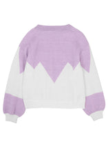 Load image into Gallery viewer, Drop Shoulder Color Block Sweater
