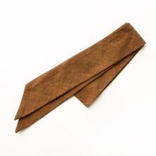 Load image into Gallery viewer, Lucky Penny Hair Sash
