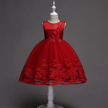 Load image into Gallery viewer, First Communion Flower Girl Dress - Mandotos Lace Trim Tulle Bead Embroidery
