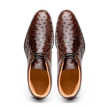 Load image into Gallery viewer, 43-594-BRN MARCO Ostrich Quill Chukka Boot, Brown
