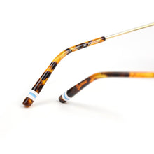 Load image into Gallery viewer, CULLODEN SUNGLASSES
