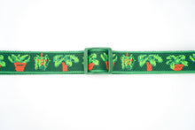 Load image into Gallery viewer, Houseplants
