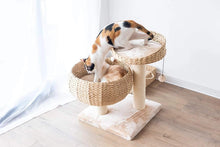 Load image into Gallery viewer, PetPals Cozy Cat Tree – Eco-Friendly, Stylish &amp; Fun for Your Cat!
