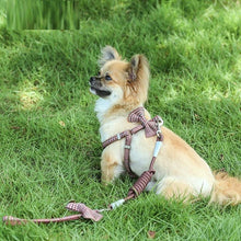 Load image into Gallery viewer, Small And Medium-sized Leash Pet Dog Supplies

