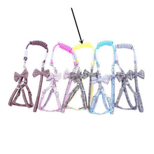 Load image into Gallery viewer, Small And Medium-sized Leash Pet Dog Supplies
