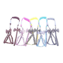 Load image into Gallery viewer, Small And Medium-sized Leash Pet Dog Supplies
