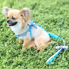 Load image into Gallery viewer, Small And Medium-sized Leash Pet Dog Supplies
