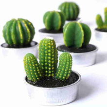 Load image into Gallery viewer, 6Pcs Cactus Candle Cube Candle Simulated Plant Set Paraffin Scented 3D Candle Delicate Succulent Cactus Candles for Valentine's Day Birthday Party Wedding Spa Home Decoration Gifts Home Candle Tea Light Background Props Decor
