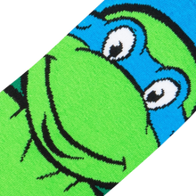 Load image into Gallery viewer, TMNT: Teenage Mutant Ninja Turtles Leonardo

