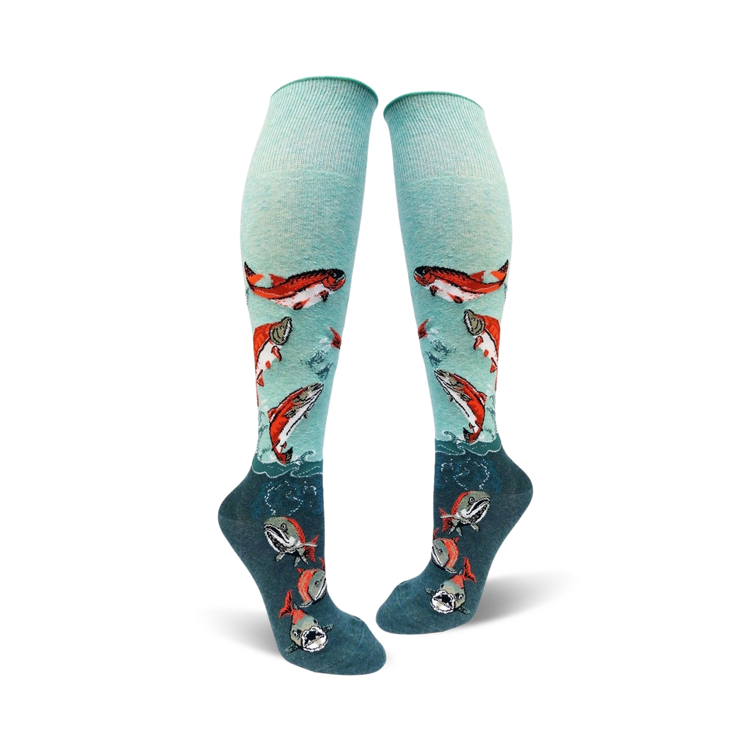 Sockeye Salmon Roll Top