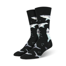 Load image into Gallery viewer, Shark Chums
